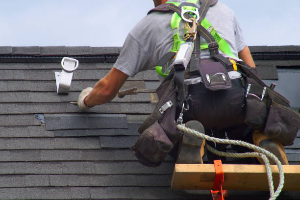 Best Roof Gutter Cleaning  in Canyon Creek, WA