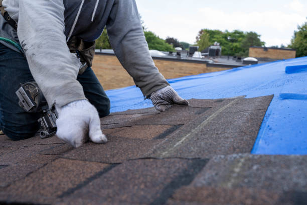 Best Shingle Roofing Installation  in Canyon Creek, WA